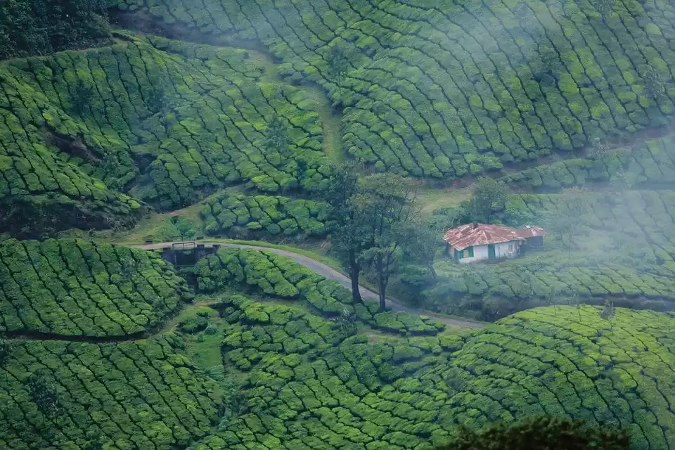 Photo of 20 Luxurious Resorts