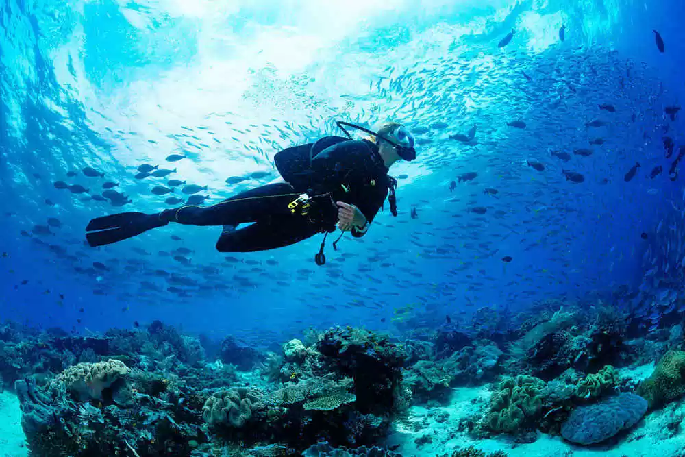 Photo of Scuba Diving in