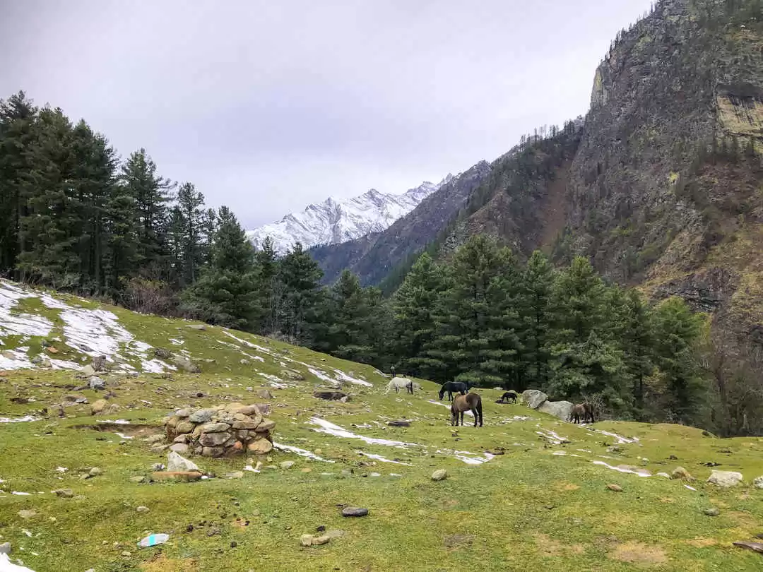 Photo of Kheerganga, Par
