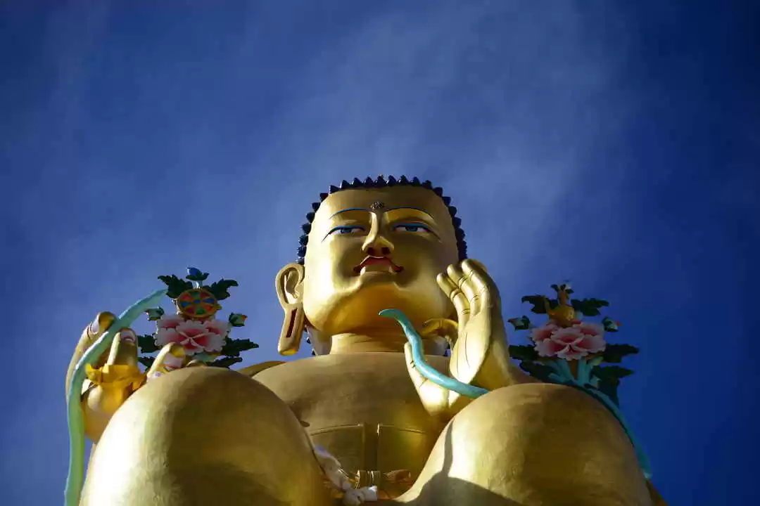 Photo of Tushita in Mcle