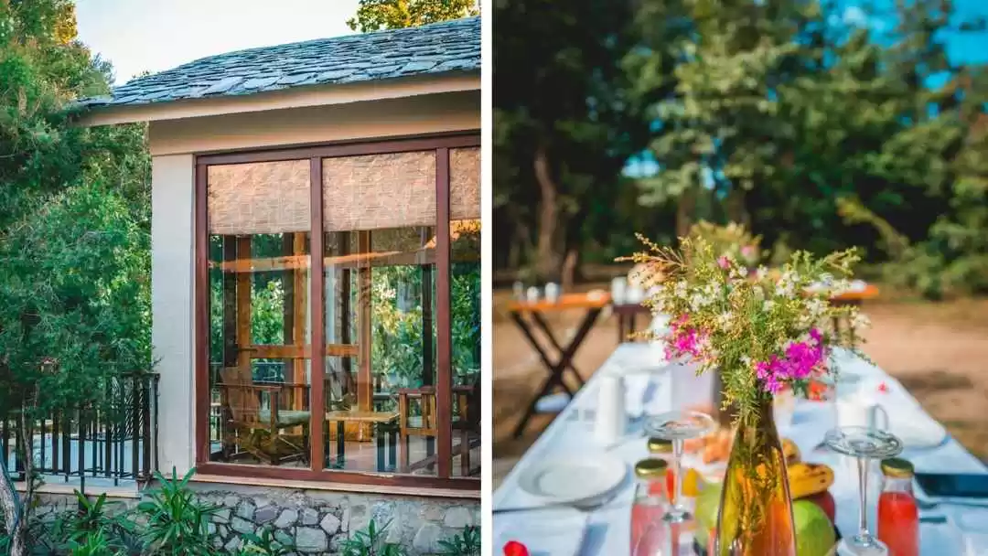 Photo of Jungle Resort I