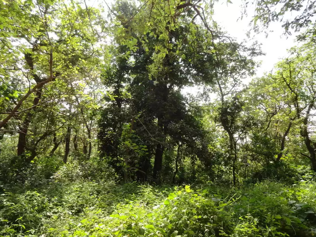 Photo of These Adventuro