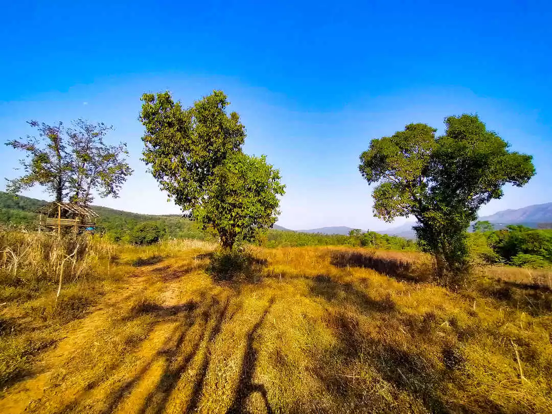 Photo of Everything You 