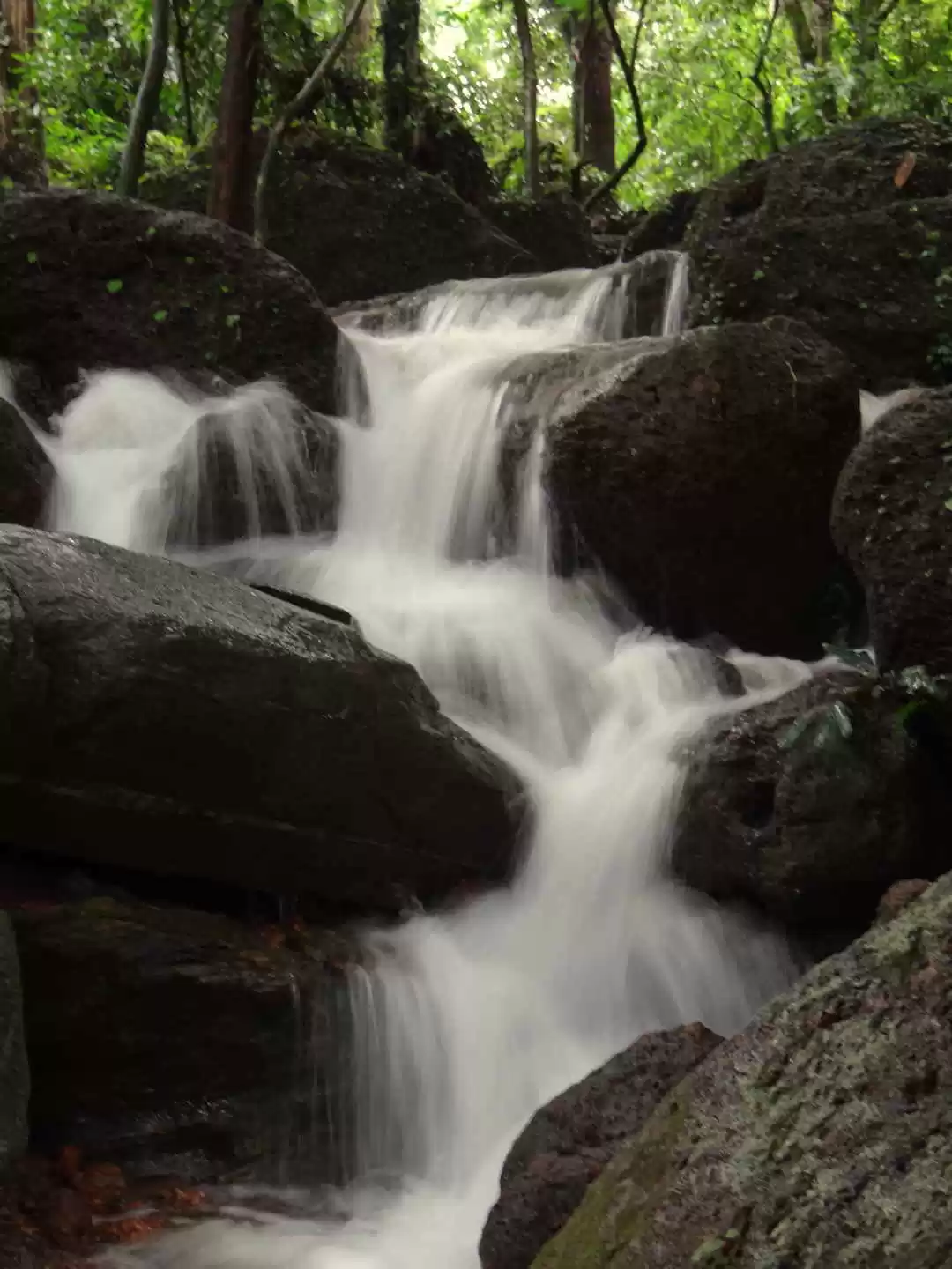 Photo of 7 Waterfalls in