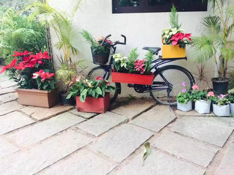 Photo of 9 Best Places T