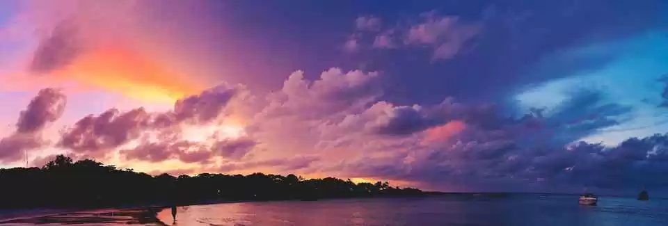 Photo of 5 Fantastic Nat