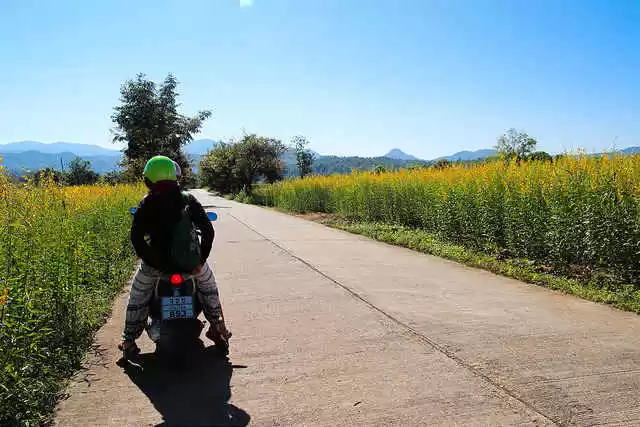 Photo of Fall In Love Wi