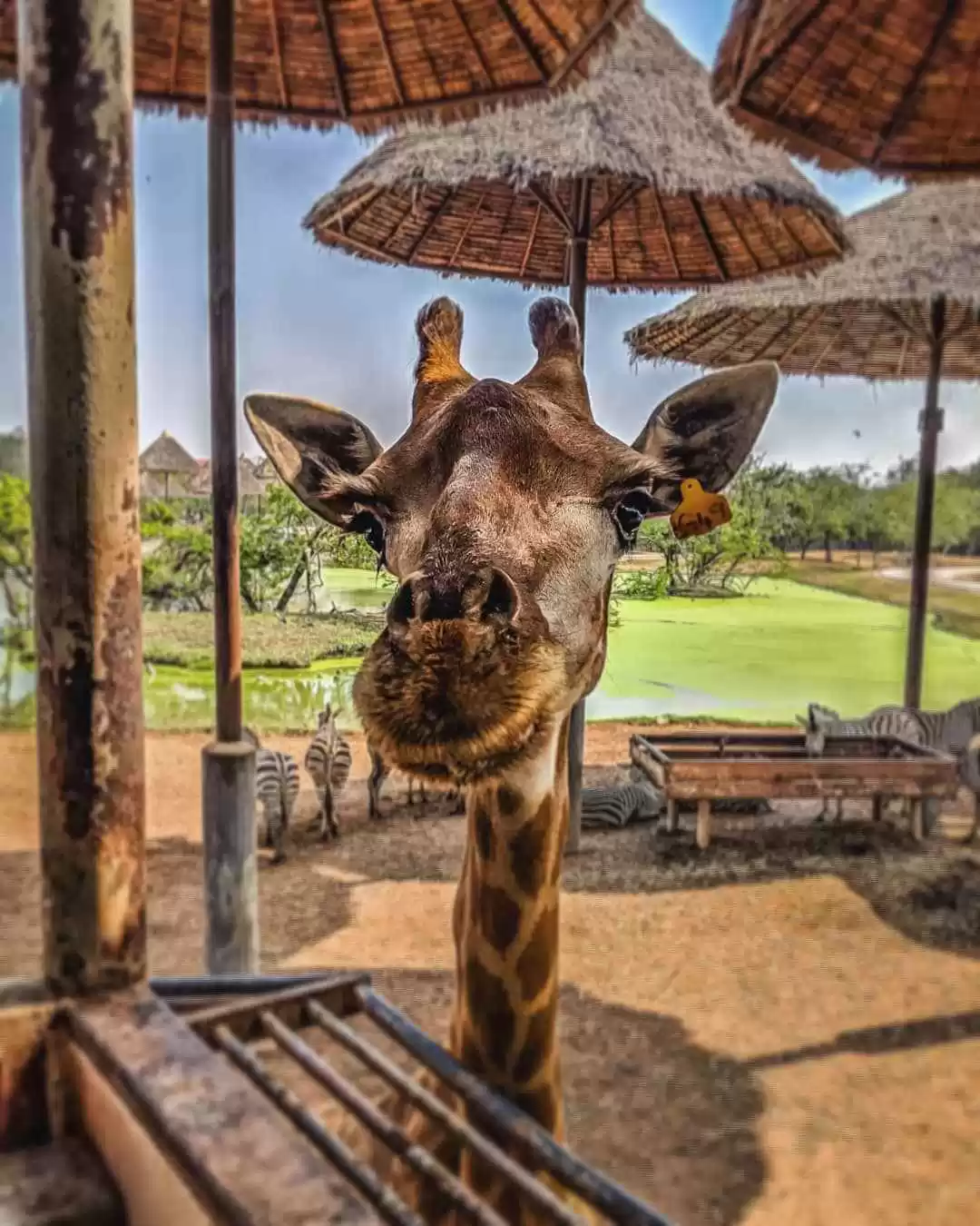 Photo of How To Protect 