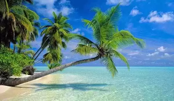 Photo of 7 Amazing Beach