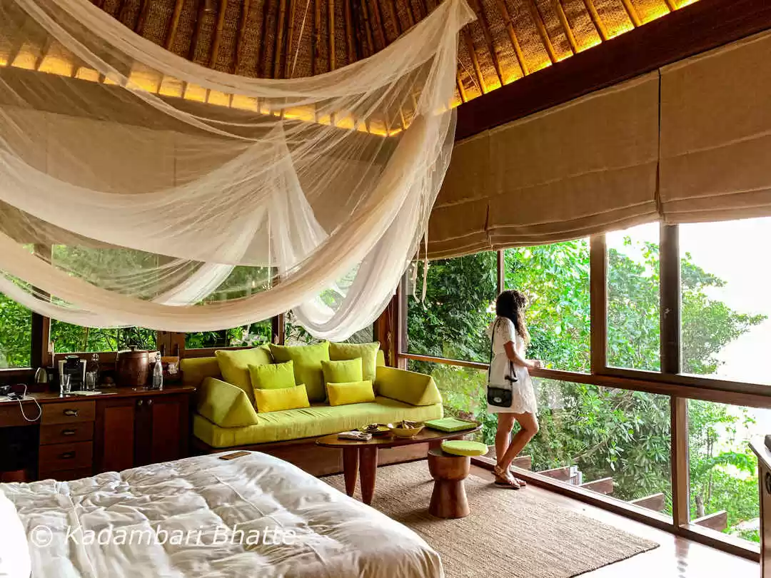 Photo of Eco Friendly - 