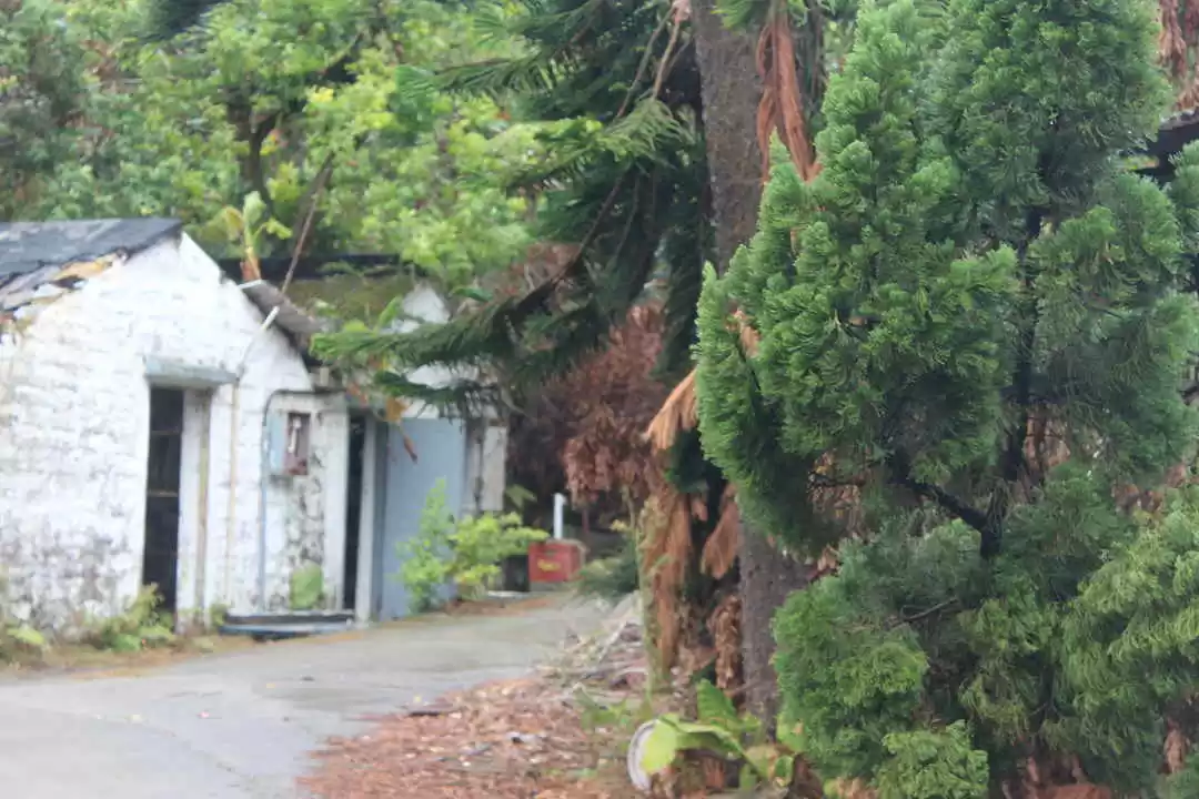 Photo of A Photowalk Thr