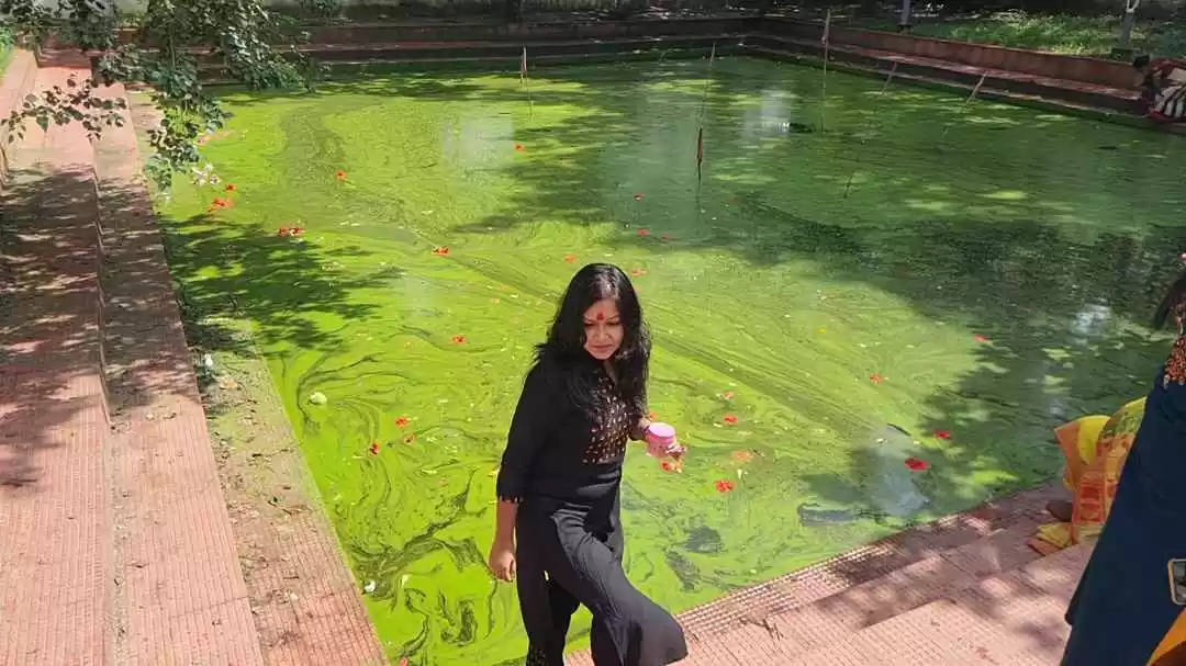 Photo of This Pond hides