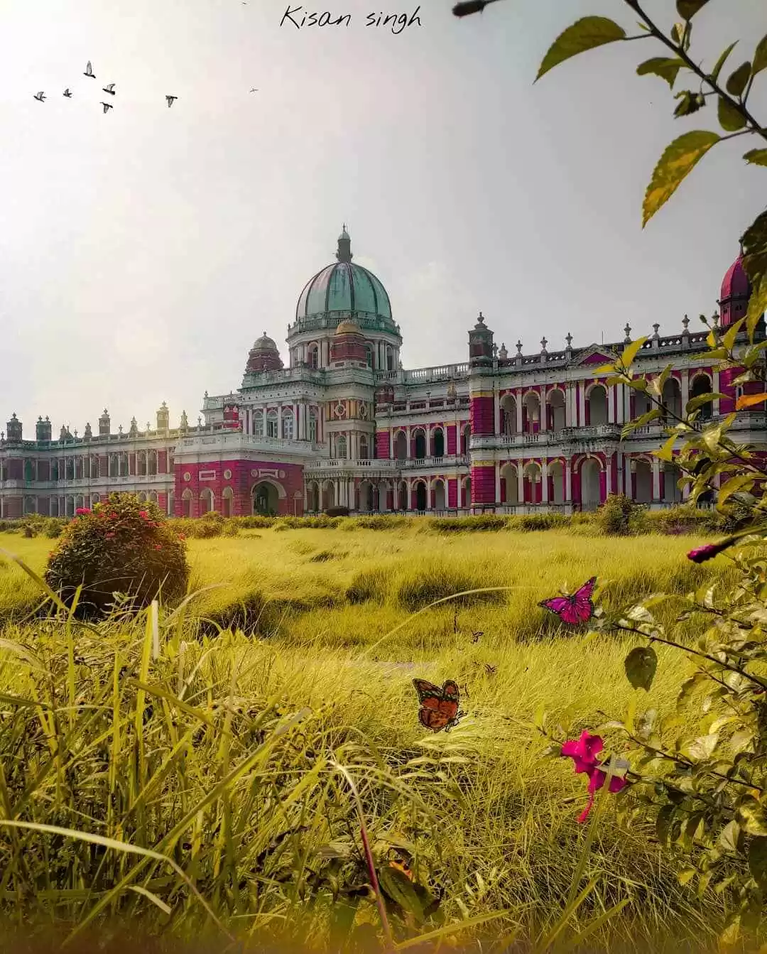 Photo of Cooch Behar Pal