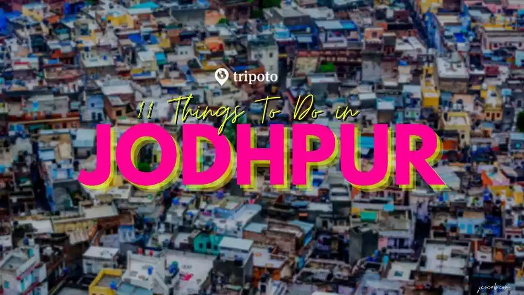 Photo of Best Things to 