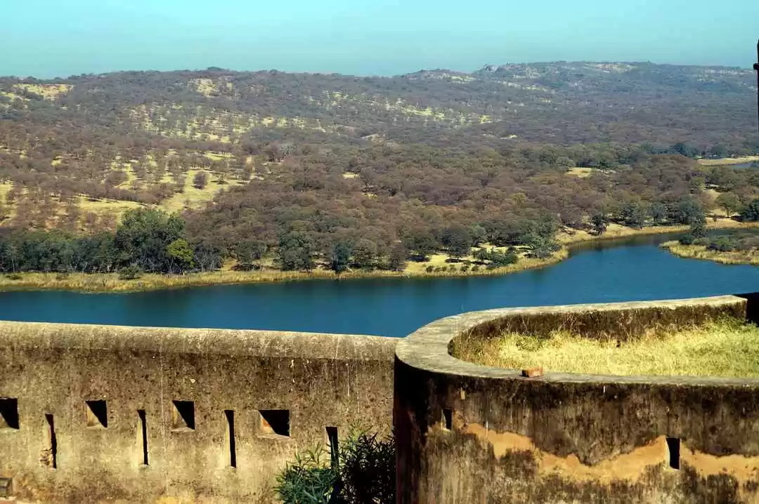 Photo of All You Need to