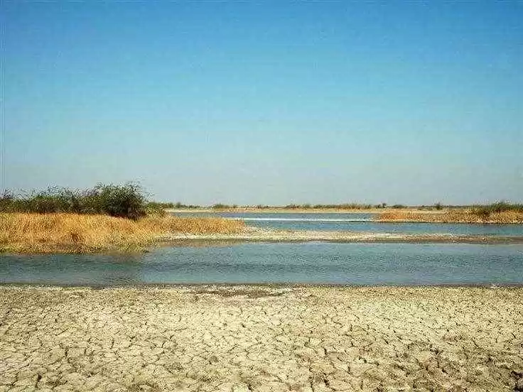 Photo of The mysterious 