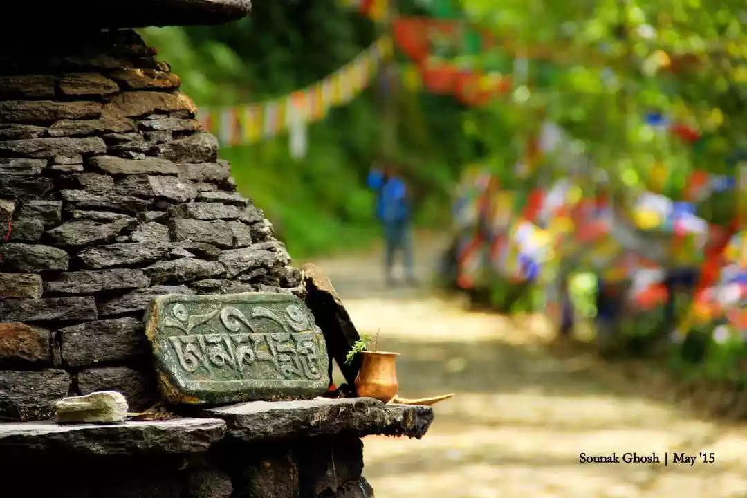 Photo of Pelling- West S