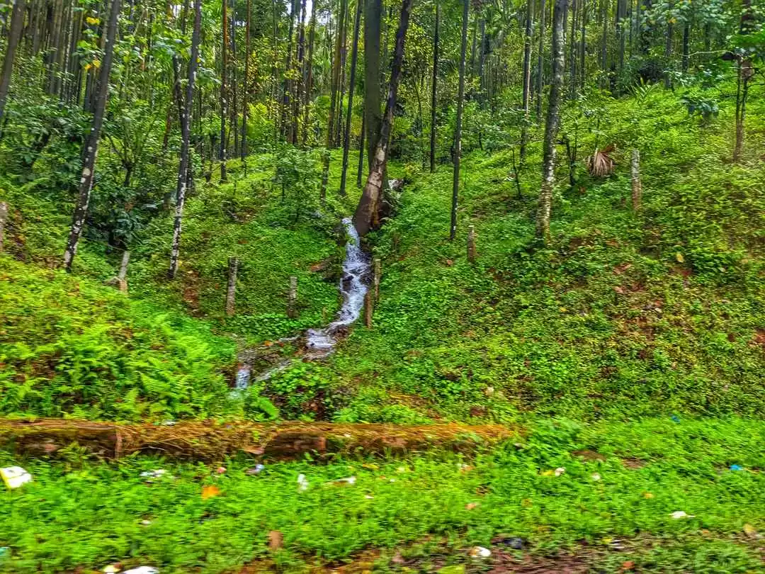 Photo of Visit This Home