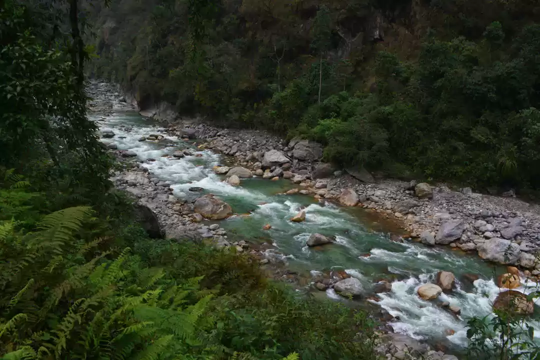 Photo of Sikkim Kaleidos