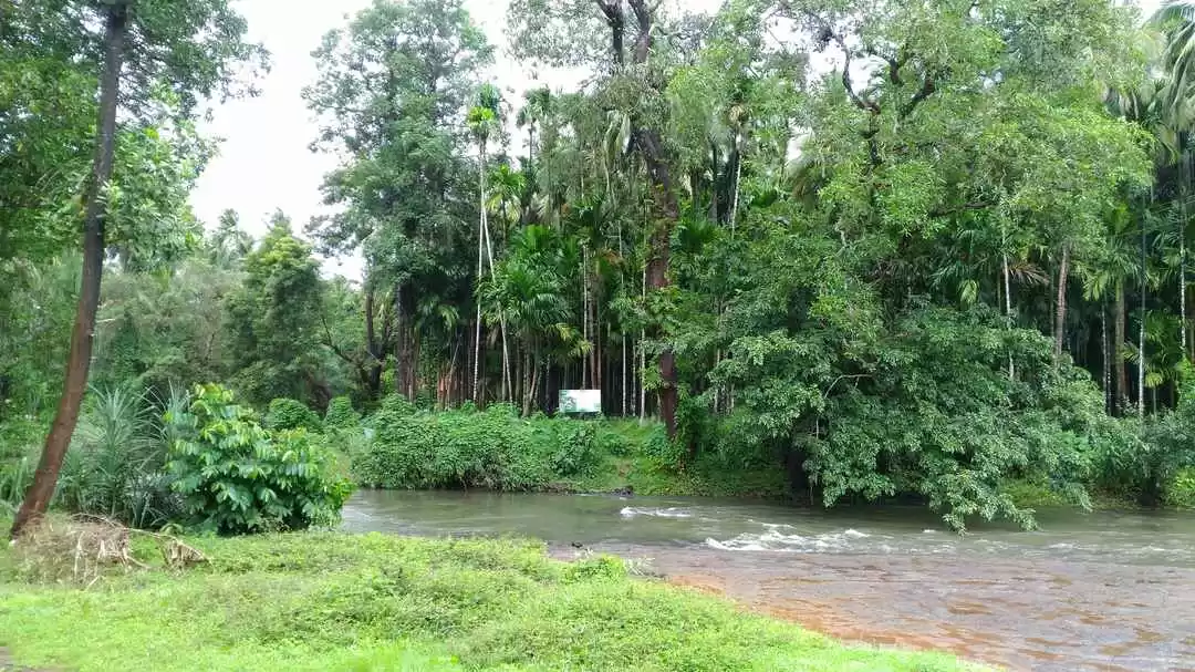 Photo of 20,000-Year Old