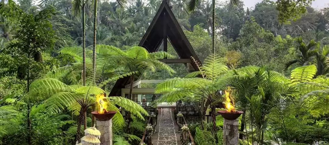 Photo of 5 Hotels In Bal