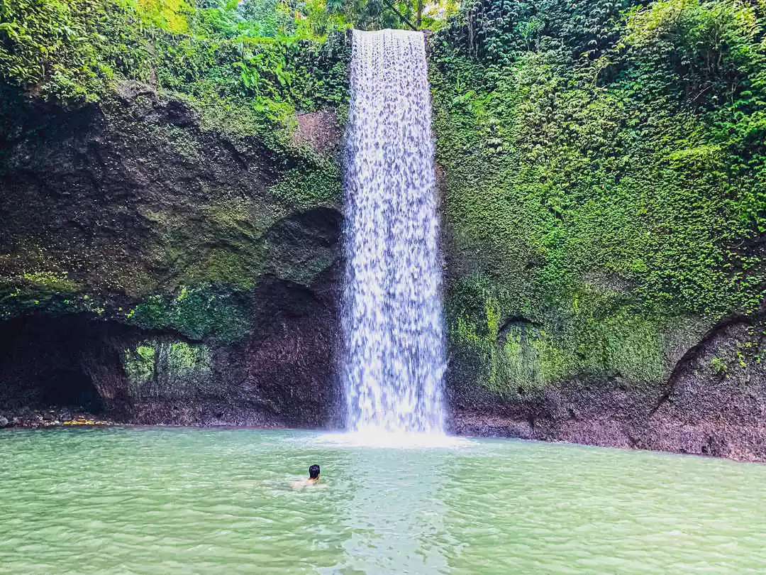 Photo of Lush Greenery a