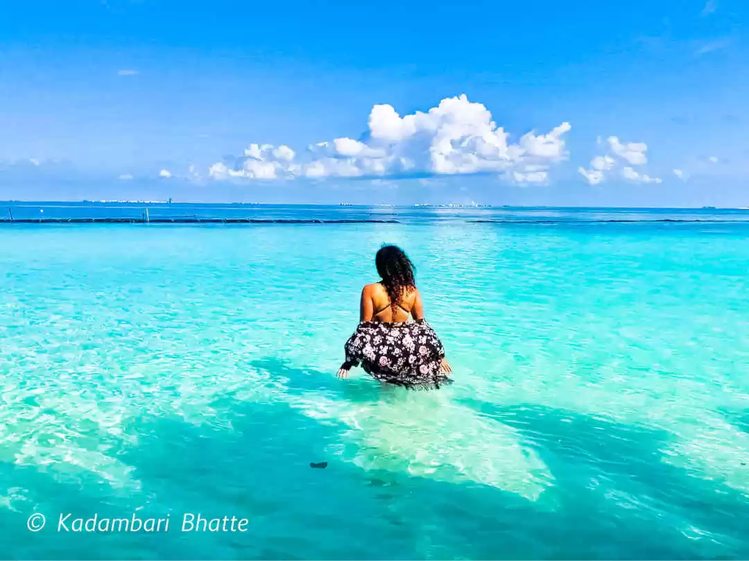 Photo of The Various Sha