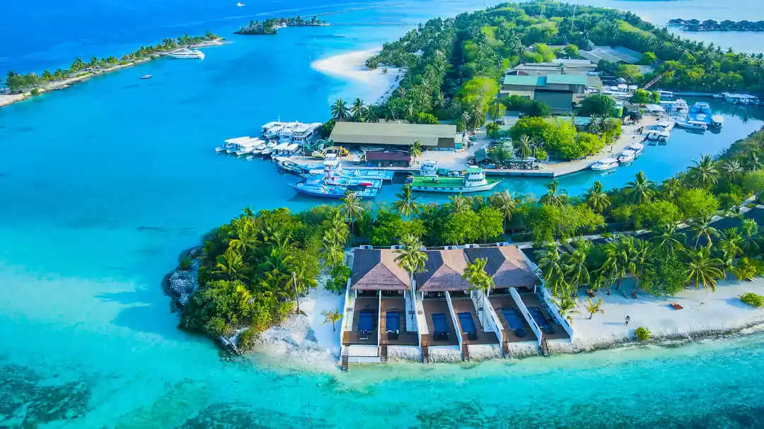 Photo of Paradise -Maldi