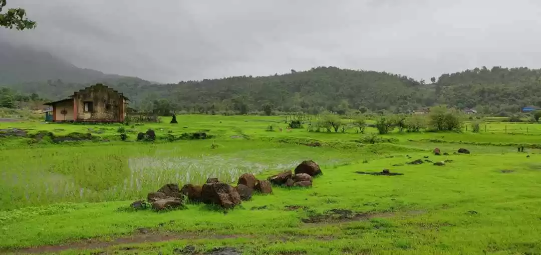 Photo of Dehene Village 