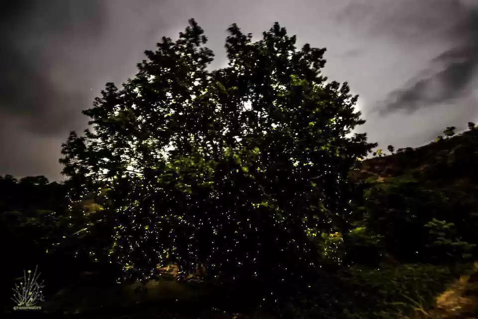 Photo of Experience the 