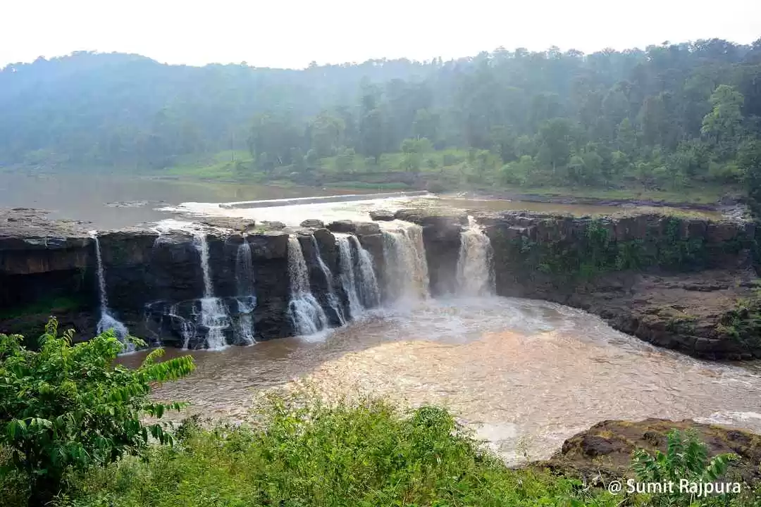 Photo of Dang Forest 