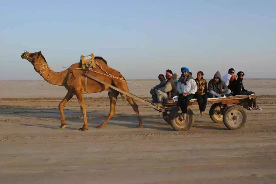 Photo of Why Gujarat Sig