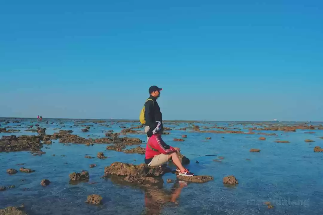 Photo of A Must Visit Co