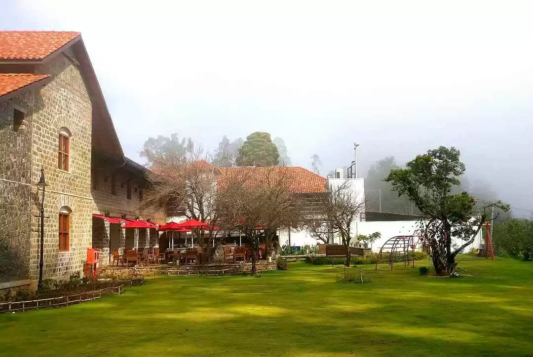 Photo of The Tamara Koda