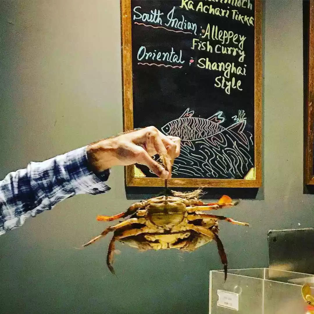 Photo of Must Eat Restau