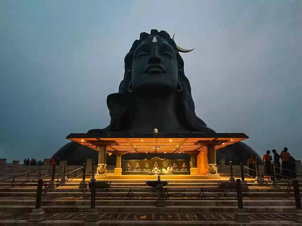 Photo of All You Need to