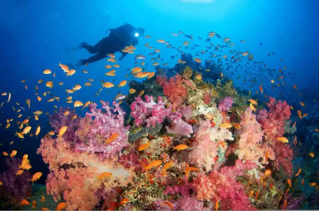 Photo of Off-beat destin