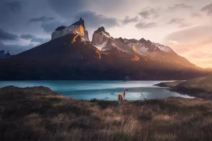 Photo of Planning For An Inte