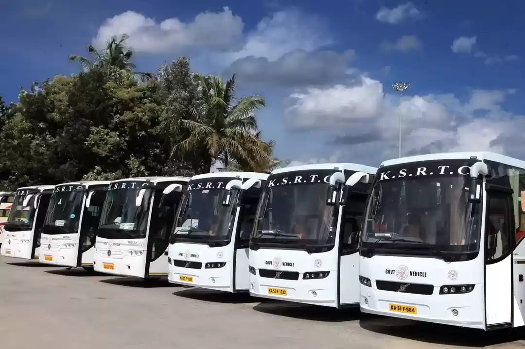 Photo of Experience the Vibra