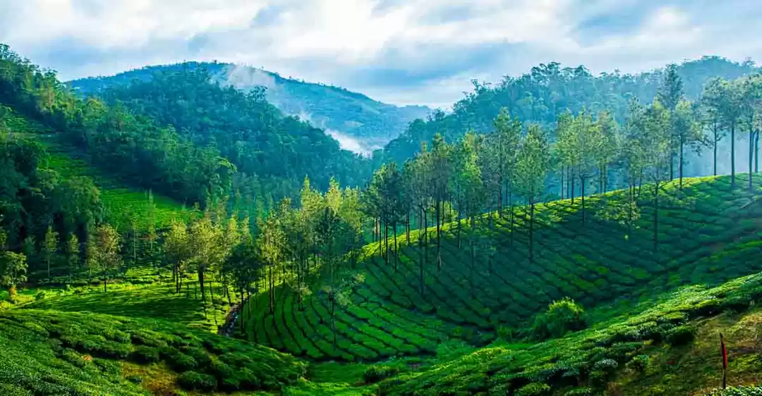 Photo of Thekkady