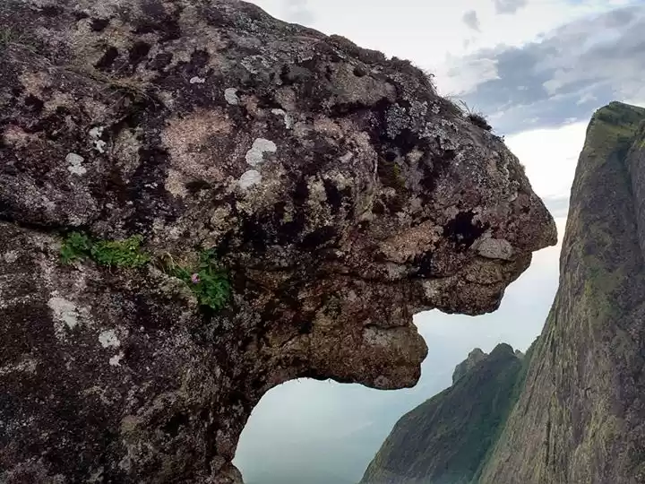 Photo of Meesapulimala