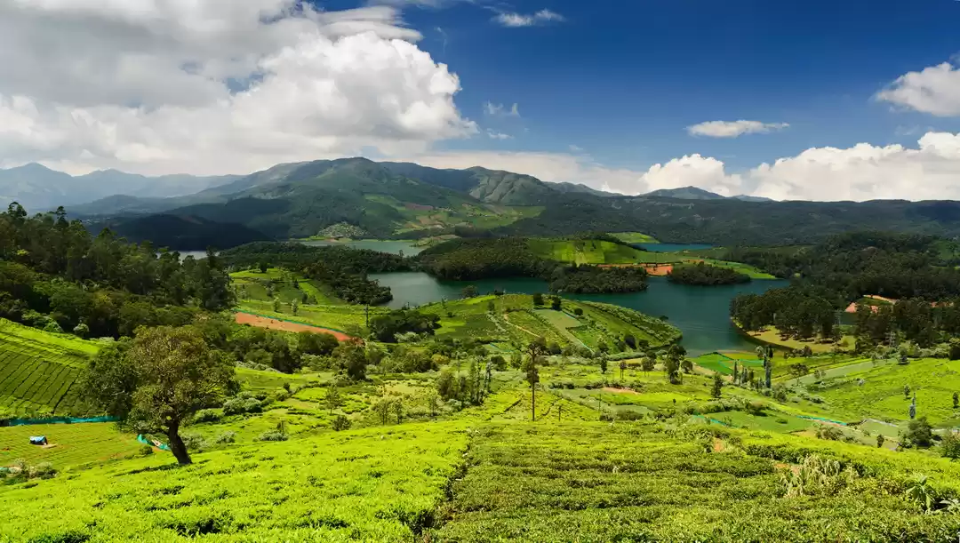 Photo of Tamil Nadu's Launche