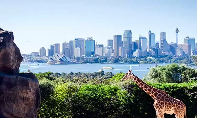 Photo of Taronga Zoo in Sydne