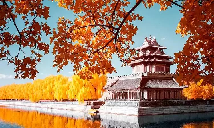 Photo of The amazing surround