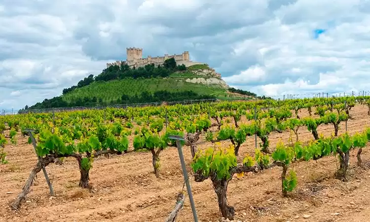 Photo of Journey through the