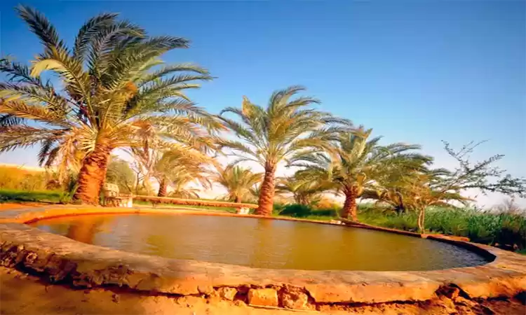 Photo of Oases of Calm: Explo