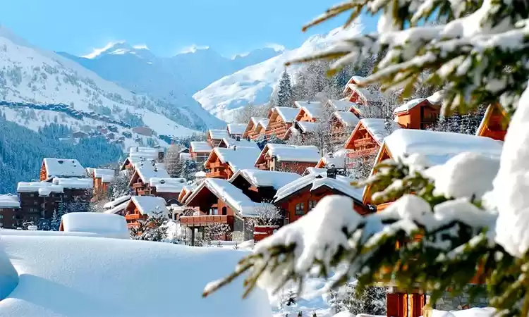 Photo of Winter wonderland in