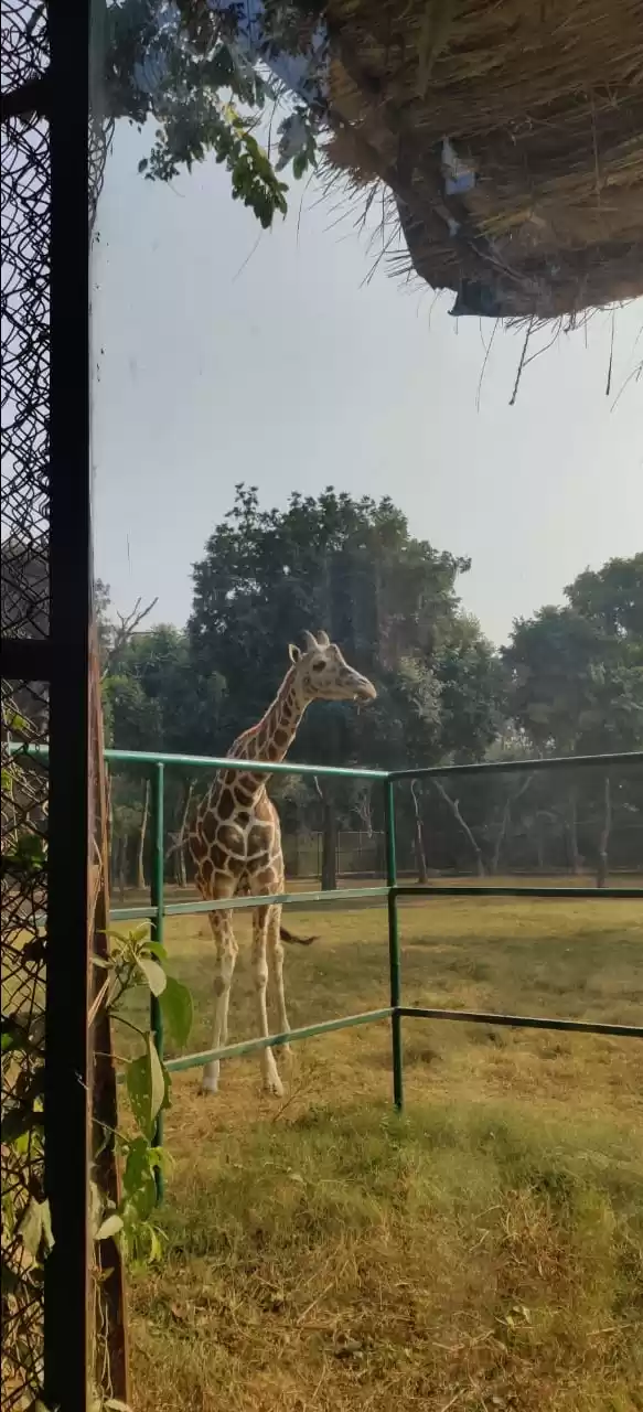 Photo of Sanjay Gandhi Biological Park