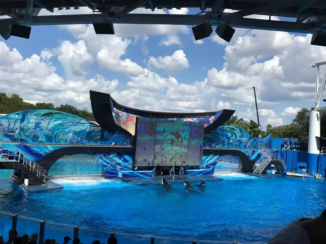 Photo of SeaWorld Orlando