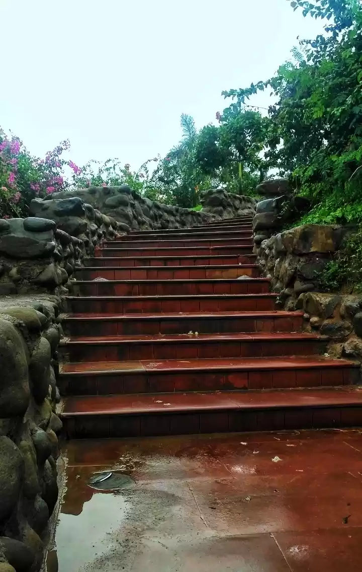 Photo of Garden of Silence